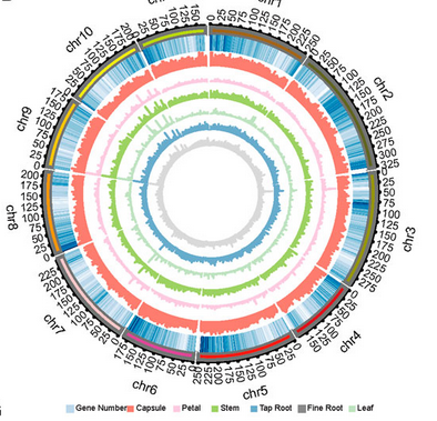 Guo Lab | Research