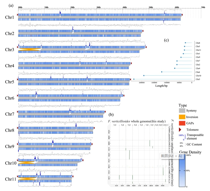Guo Lab | Research